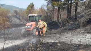 Втори ден продължава да гори големия пожар на границата на