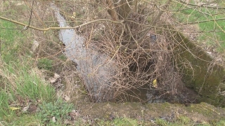 Петгодишно дете се удави в напоителен канал