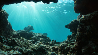 За промените в климата се алармира все по усилено в последните