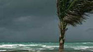 Девет загинали при торнадо в Япония