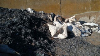 През юли експертите на Регионалната инспекция по околната среда и