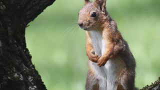 Днес ще бъде предимно слънчево След обяд ще се развива