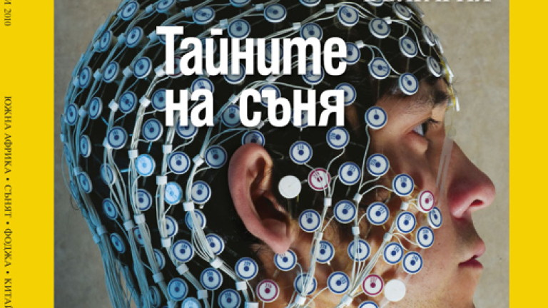 Изображение 98424