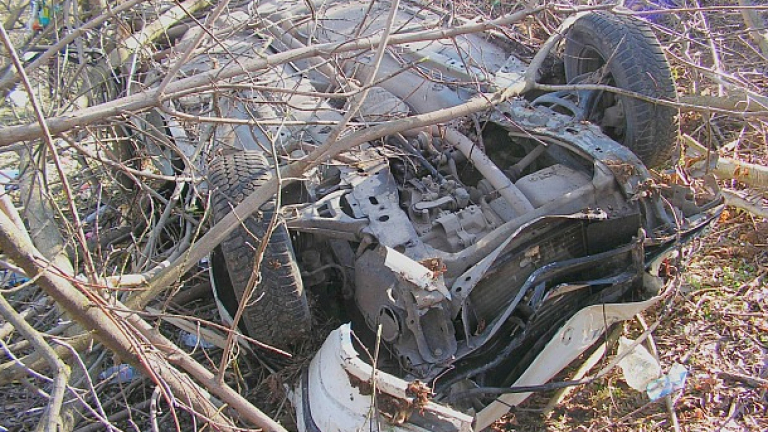 Изображение 219024