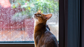 Дъжд и слънце се редуват