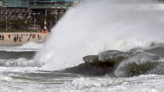 Силен тайфун връхлетя основния остров на Япония в деня на