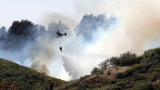 Човешка небрежност е причината за 98% от горските пожари