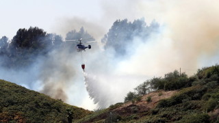 Поне 9000 евакуирани заради горски пожар на Канарските острови