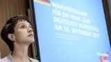 Междуособици в дяснопопулистката германска партия "Алтернатива за Германия"