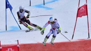 Още едно злато за Австия на световното по ски