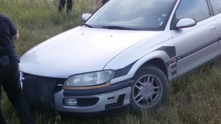 Изображение 359824