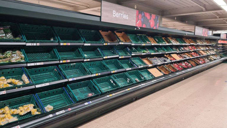 Липсващи стоки и празни рафтове в магазините: Пандемията донесе дефицит във Великобритания