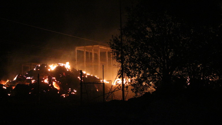 ÐзобÑажение 380025