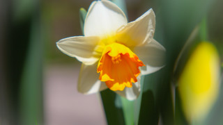Днес ще преобладава слънчево време След обяд ще се развива