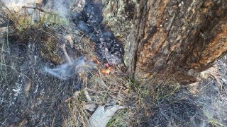 Пожарът в местността Коджакарийца в Природен парк Рилски манастир е