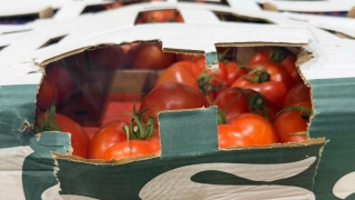 Митнически служители откриха 14 2 тона контрабандно превозвани краставици и