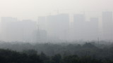 В Индия не разрешават изгарянето на стърнища, въздухът в Ню Делхи става рисков 