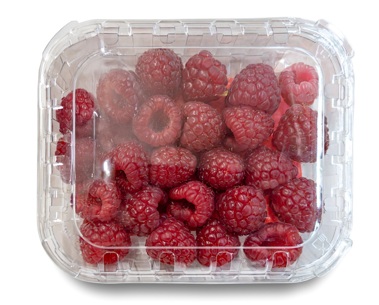 В кутията им не трябва да има влага