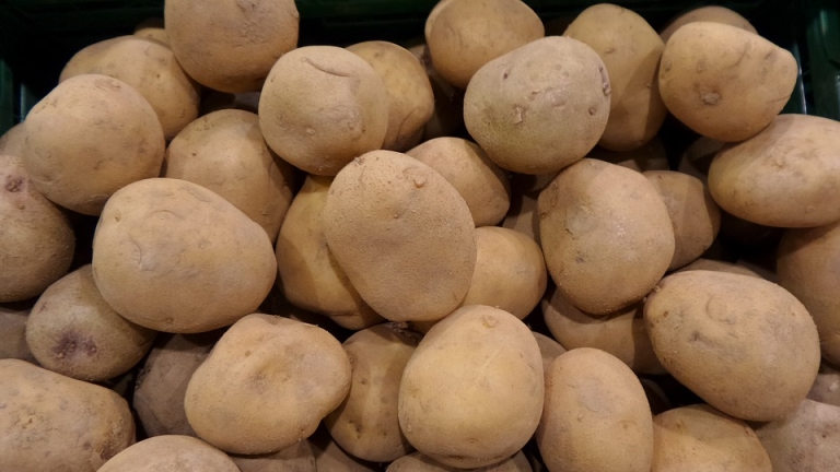 Рекордна реколта от картофи в Северна Европа срина цената им