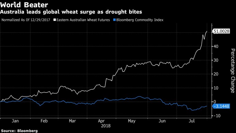  Австралия поведе международния скок в цените на пшеницата 