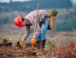 Горските спряха протестите