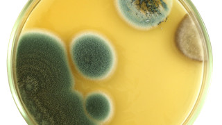 3 случайни открития, променили човешката история