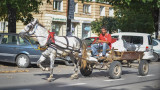 Счупена каруца, обезумял кон и масов бой между цигани и българи на булевард в София