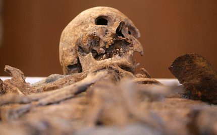 Изображение 133025