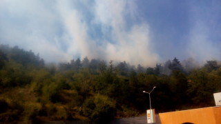 Загасен е пожарът който горя в защитената местност Орловото блато