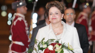 Дилма Русеф не позволи облекчен режим за сеч в джунглата