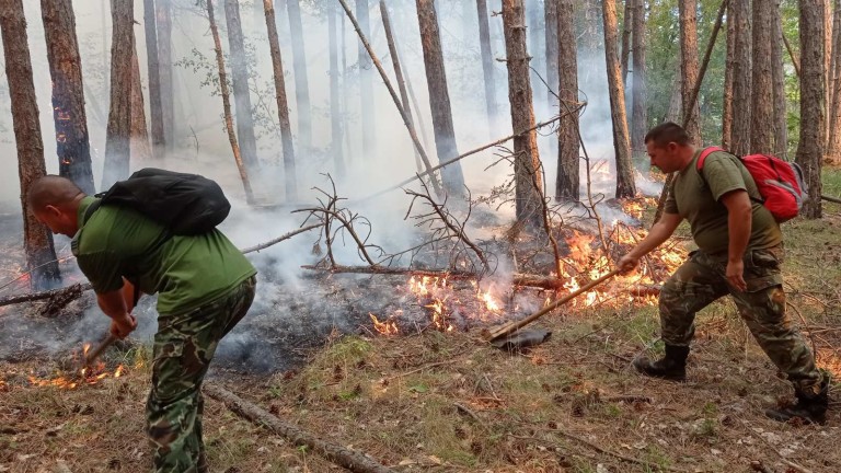 Пожарът край Кирково се разраства