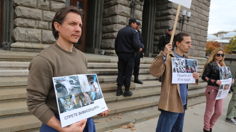 Вегани настояват за криминализиране на опитите с животни