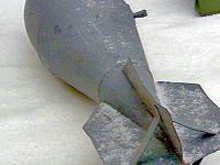 Авиобомби открити на изоставен полигон