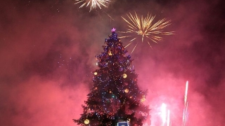 Палят светлините на Коледната елха в София