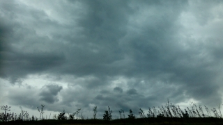 Украинският президент Володимир Зеленски е поискал помощ от германския канцлер