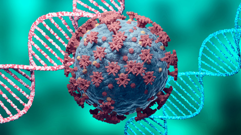 Нов PCR-тест открива успешно варианта Омикрон на коронавируса, съобщи Европейската