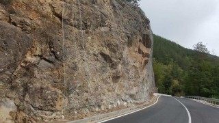 Местни хора от козлодуйското село Гложене поискаха обезопасяване на пътя