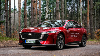 content sidebar display none content main width 100 important img or video display none megaboard wrapper text align center