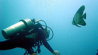 Обучават 13 наркозависими за водолази и капитани