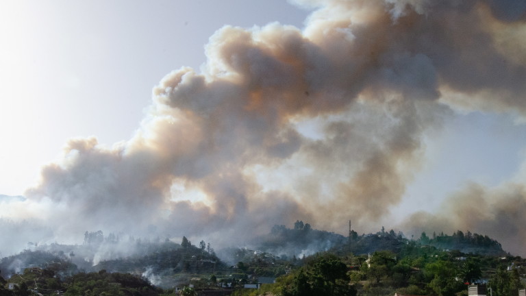Пожар бушува в гориста местност на испанския остров Ла Палма.
