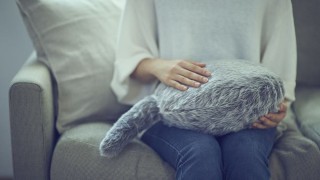 Ако обичаме котки и кучета но имаме алергия или ни