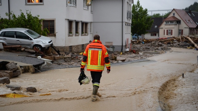 Изображение 236725