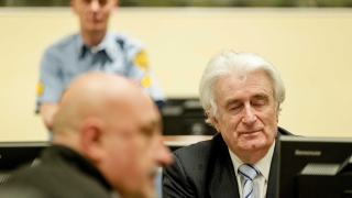 Присъдата срещу мен е чудовищна, защити се Караджич