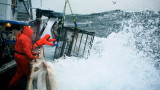  Русия гони английските риболовци от Баренцово море 