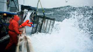Русия гони британските рибари от Баренцово море
