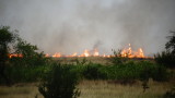 Четири пожарни гасиха сухи треви в Пловдивско