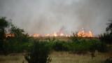Пожар избухна в борова гора край Бургас