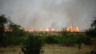 Горещият ден причини пожари в страната Огън е избухнал в бургаския