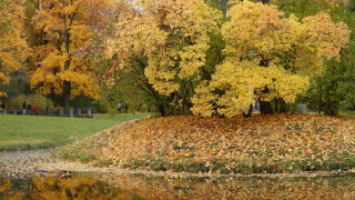 Слънце в неделя