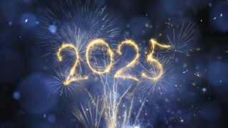 Домашните ни любимци са един от видовете с най добър слух